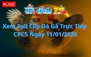 Xem Full Clip Đá Gà Trực Tiếp CPC5 Ngày 11/01/2026