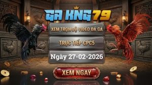 Xem Full Clip Đá Gà Trực Tiếp CPC5 Ngày 27/02/2026