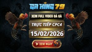Xem Full Clip Đá Gà Trực Tiếp CPC4 Ngày 15/02/2026