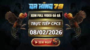 Xem Full Clip Da Ga Truc Tiep CPC5 Ngay 08022026 2
