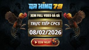 Xem Full Clip Da Ga Truc Tiep CPC5 Ngay 08022026