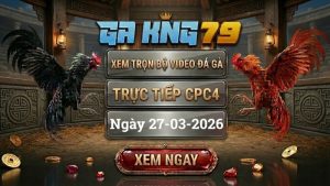 Xem Full Clip Đá Gà Trực Tiếp CPC4 Ngày 27/03/2026