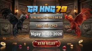 Xem Full Clip Đá Gà Trực Tiếp CPC3 Ngày 31/03/2026