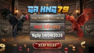 Video đá gà CPC2 ngày 14_04_2026