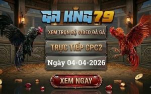 Xem Full Clip Đá Gà Trực Tiếp CPC2 Ngày 04/04/2026