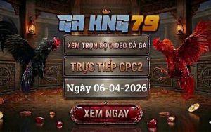 Xem Full Clip Đá Gà Trực Tiếp CPC2 Ngày 06/04/2026