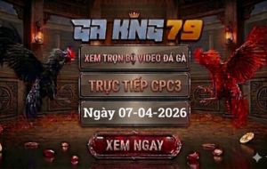 Xem Full Clip Đá Gà Trực Tiếp CPC3 Ngày 07/04/2026