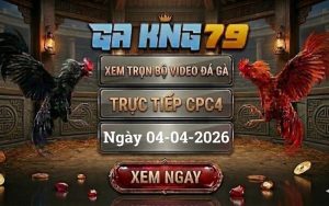 Xem Full Clip Đá Gà Trực Tiếp CPC4 Ngày 04/04/2026