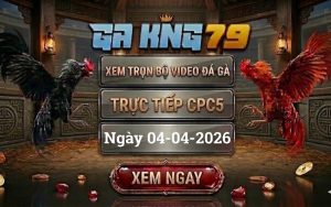 Xem Full Clip Đá Gà Trực Tiếp CPC5 Ngày 04/04/2026